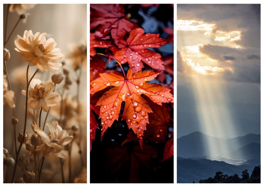 A touch of nature 2_v1