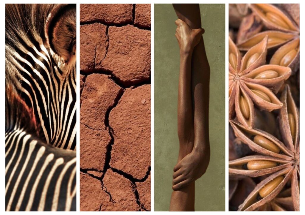 African Zen_01.01_v1